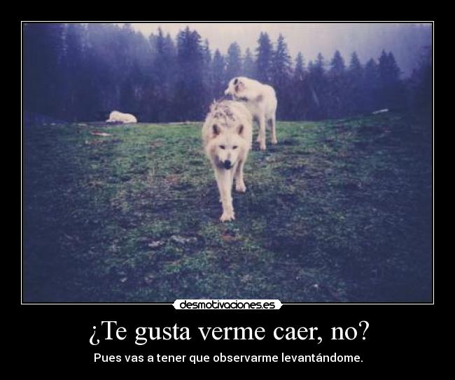 ¿Te gusta verme caer, no? - Pues vas a tener que observarme levantándome.