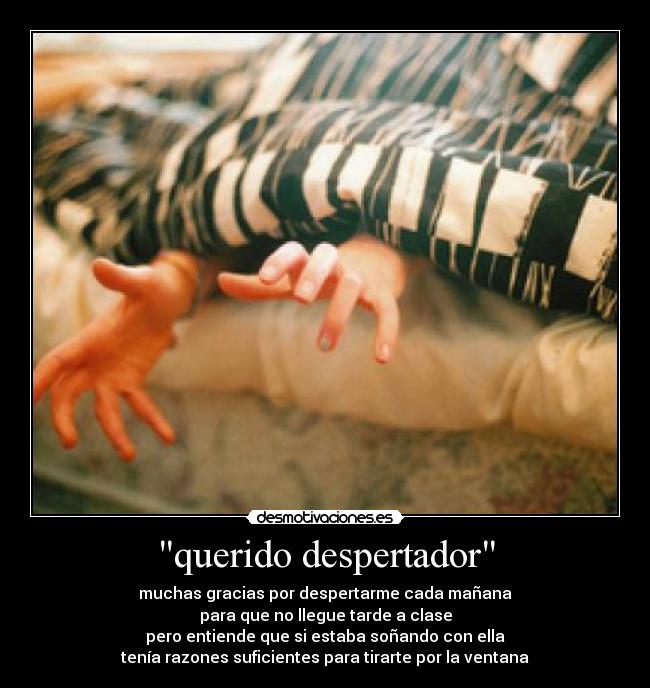 querido despertador - 