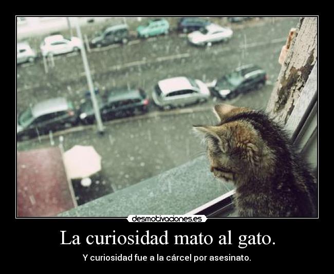 La curiosidad mato al gato. -