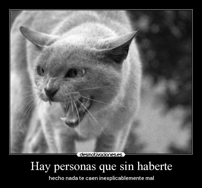 Hay personas que sin haberte - hecho nada te caen inexplicablemente mal