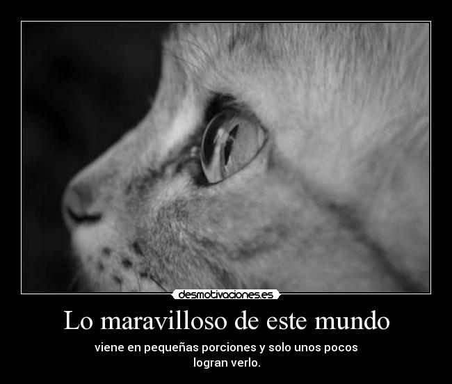 Lo maravilloso de este mundo - viene en pequeñas porciones y solo unos pocos
logran verlo.
