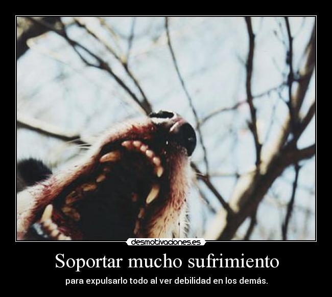 Soportar mucho sufrimiento - para expulsarlo todo al ver debilidad en los demás.
