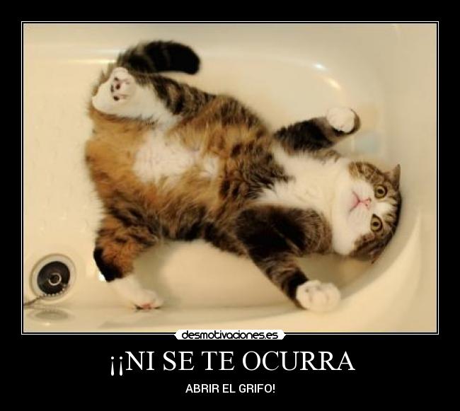 ¡¡NI SE TE OCURRA - ABRIR EL GRIFO!