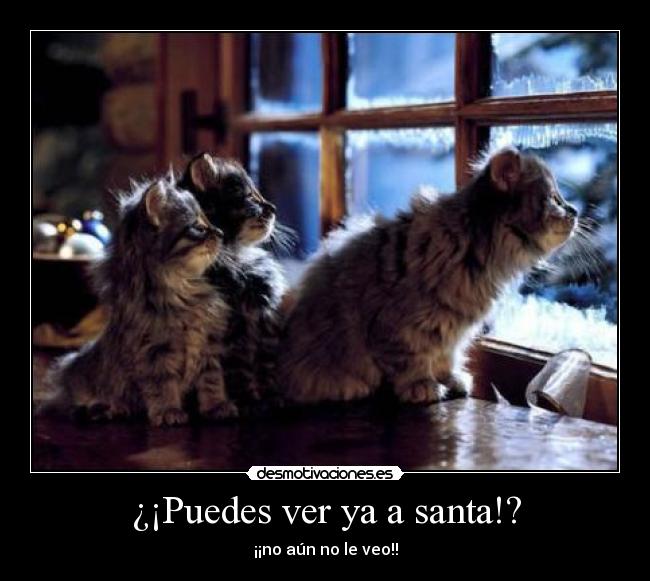 ¿¡Puedes ver ya a santa!? - ¡¡no aún no le veo!!