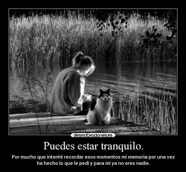 Puedes estar tranquilo. -