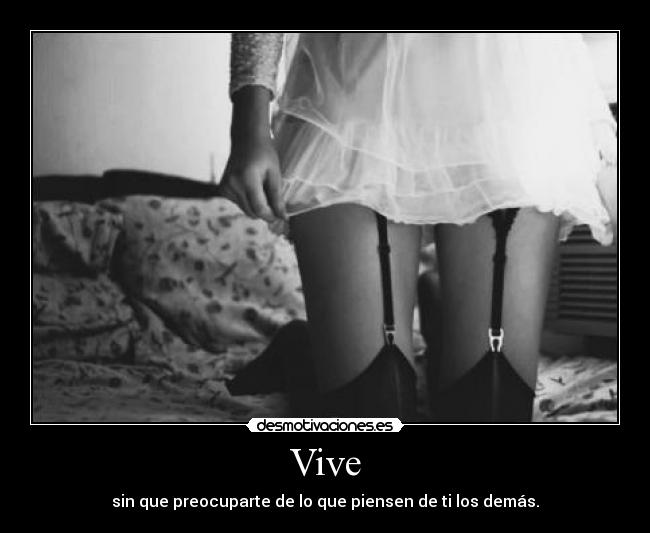 Vive -