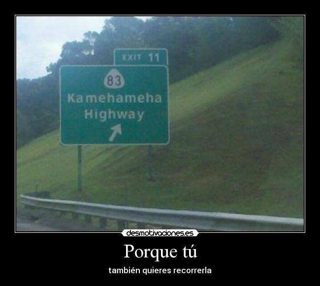 carteles kamehameha kame hame highway autopista desmotivaciones