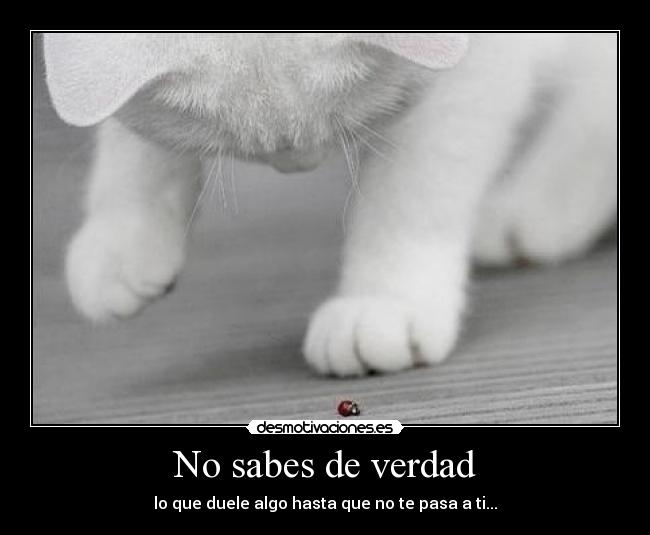 No sabes de verdad - 