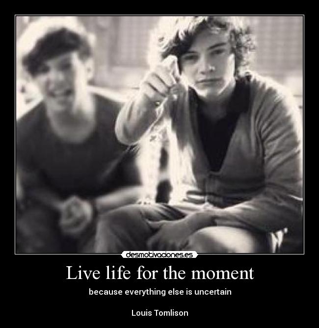 carteles one direction louis tomilson harry styles desmotivaciones