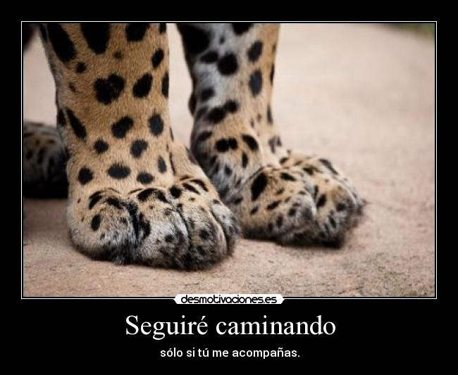 Seguiré caminando - sólo si tú me acompañas.