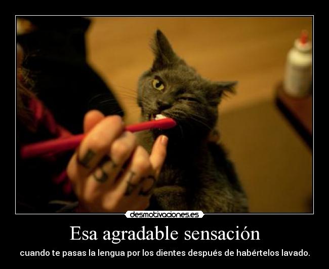 Esa agradable sensación - cuando te pasas la lengua por los dientes después de habértelos lavado.