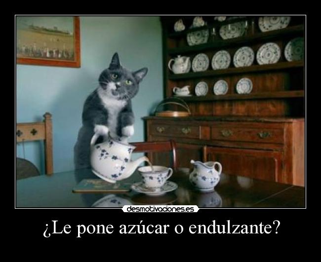 ¿Le pone azúcar o endulzante? -
