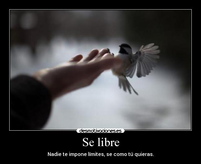 Se libre - 