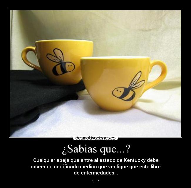 carteles leyees estupidamente estupidas desmotivaciones