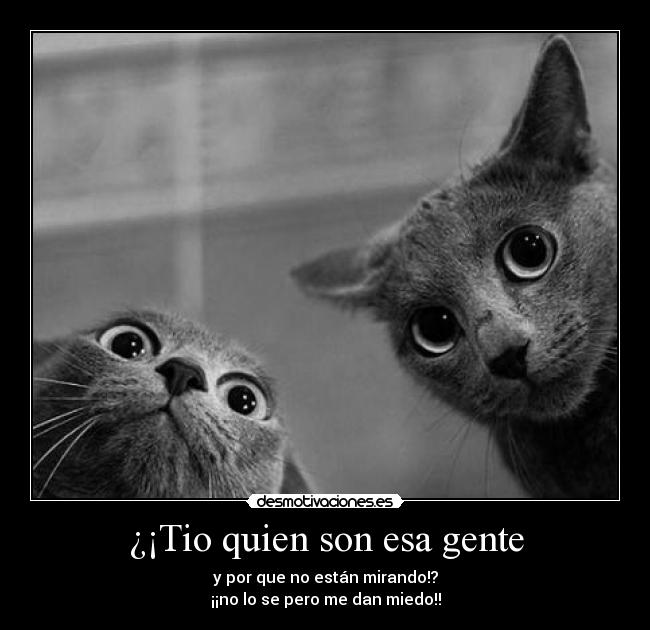 ¿¡Tio quien son esa gente - 