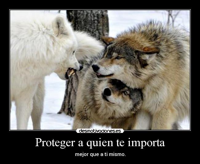 carteles vamos todos matar gual desmotivaciones