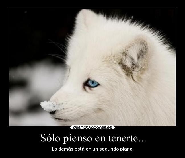 Sólo pienso en tenerte... - Lo demás está en un segundo plano.