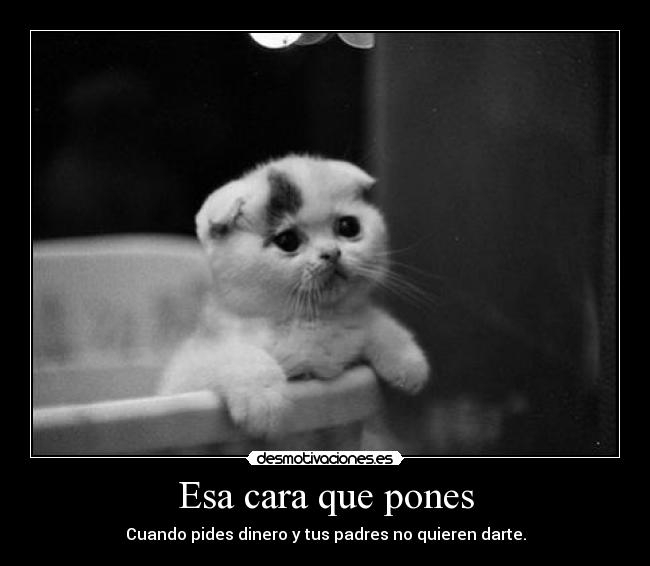 Esa cara que pones - Cuando pides dinero y tus padres no quieren darte.