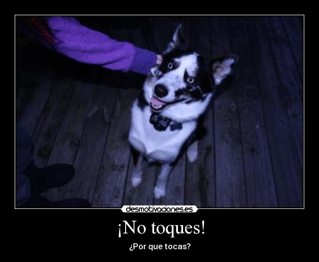 ¡No toques! - 