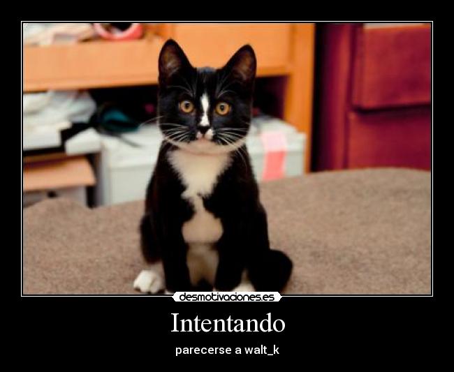 Intentando - parecerse a walt_k