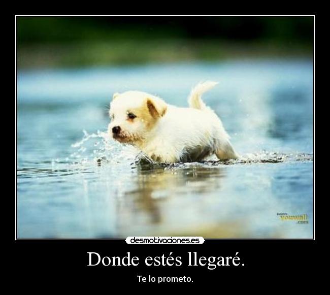 Donde estés llegaré. -
