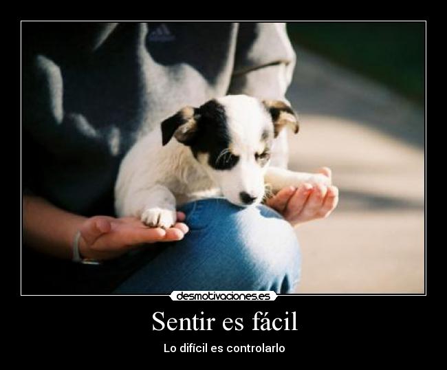 Sentir es fácil - 