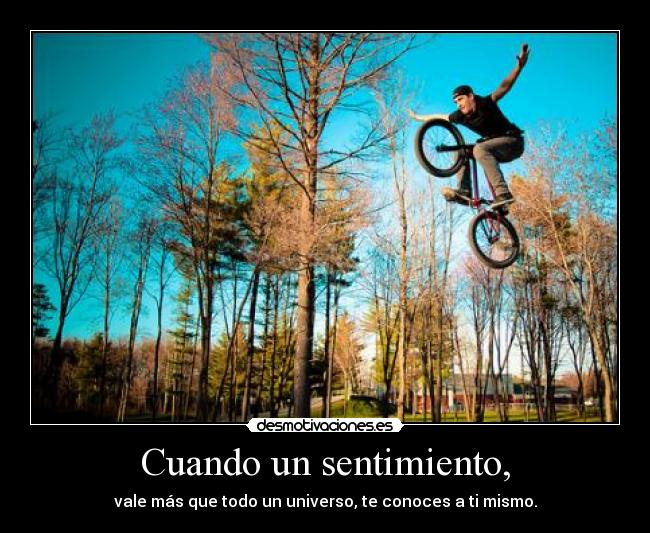 Cuando un sentimiento, - vale más que todo un universo, te conoces a ti mismo.