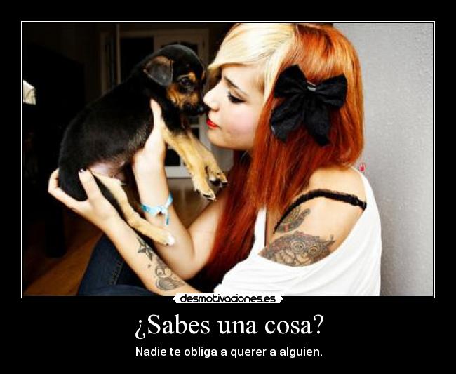 ¿Sabes una cosa? - Nadie te obliga a querer a alguien.