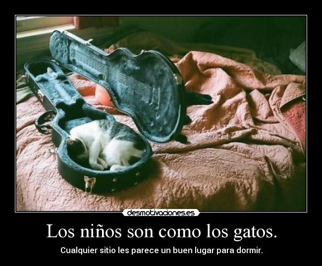 Los niños son como los gatos. - Cualquier sitio les parece un buen lugar para dormir.