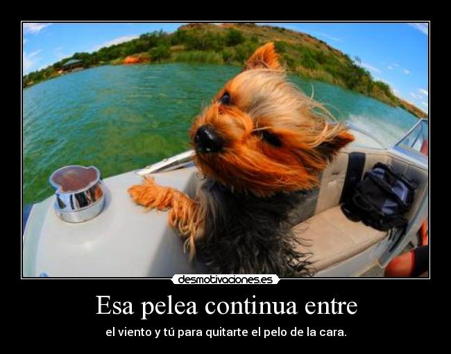 Esa pelea continua entre - el viento y tú para quitarte el pelo de la cara.