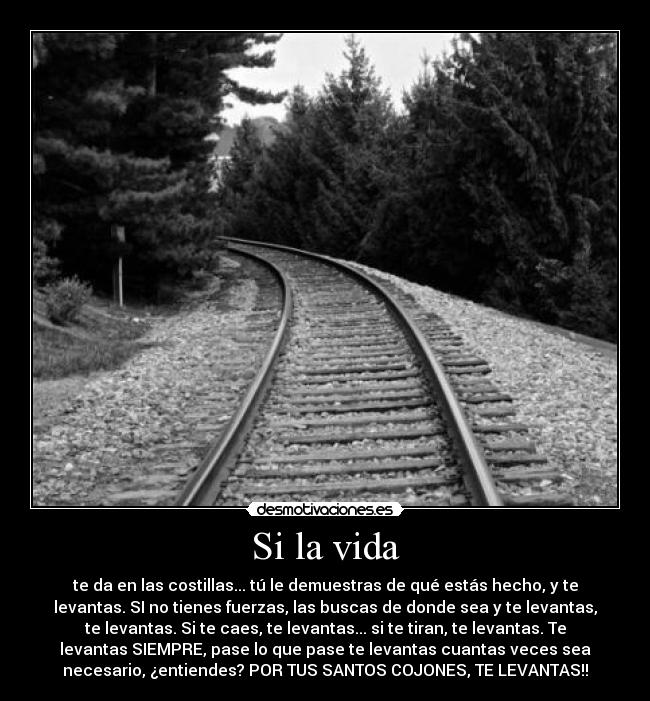 Si la vida - 