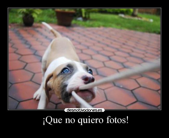 ¡Que no quiero fotos! - 