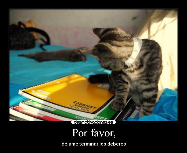 Por favor, - 