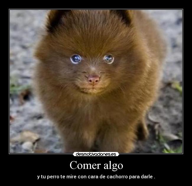 Comer algo - 