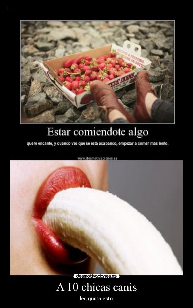 A 10 chicas canis -