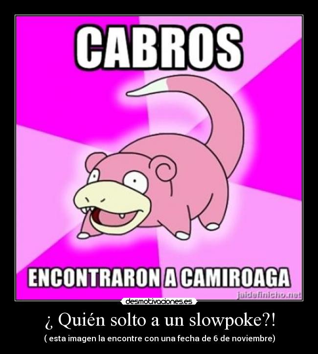 ¿ Quién solto a un slowpoke?! - ( esta imagen la encontre con una fecha de 6 de noviembre)
