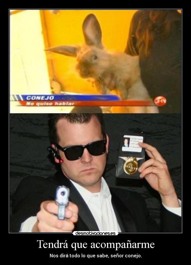 Tendrá que acompañarme - Nos dirá todo lo que sabe, señor conejo.