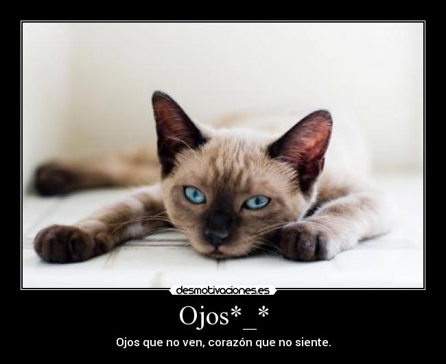 Ojos*_* - Ojos que no ven, corazón que no siente.