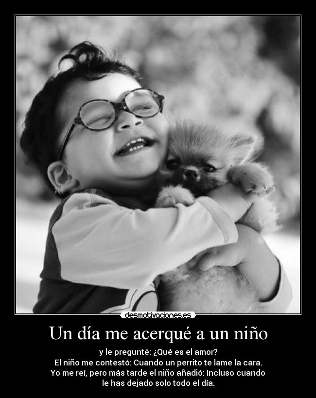 Un día me acerqué a un niño - y le pregunté: ¿Qué es el amor?
El niño me contestó: Cuando un perrito te lame la cara.
Yo me reí, pero más tarde el niño añadió: Incluso cuando
le has dejado solo todo el día.