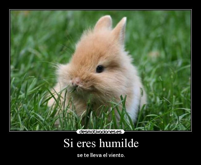 Si eres humilde - se te lleva el viento.