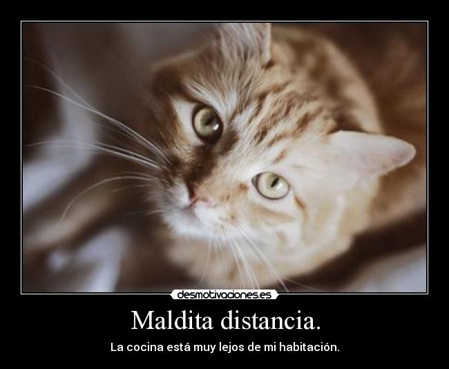 carteles distancia maldita distancia cocina vagueza vagancia vago habitacion lejos desmotivaciones