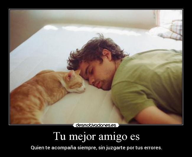 carteles mires esto cartel esta abajo desmotivaciones