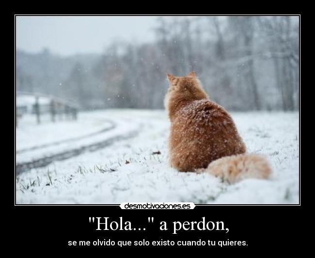 Hola... a perdon, - se me olvido que solo existo cuando tu quieres.