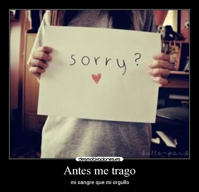carteles puto orgullo que deja pedir perdon desmotivaciones