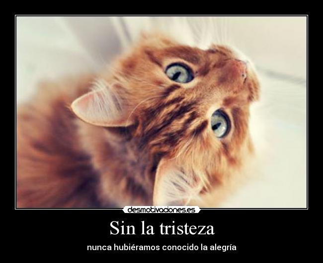 Sin la tristeza -