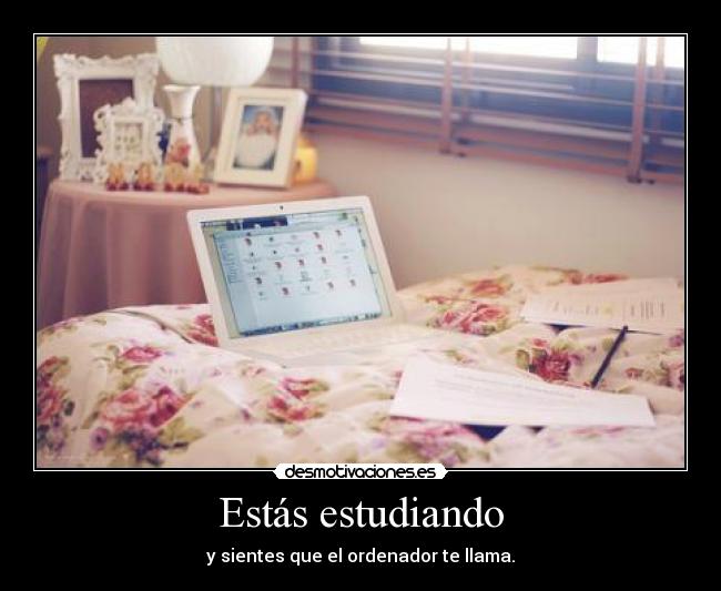Estás estudiando - y sientes que el ordenador te llama.