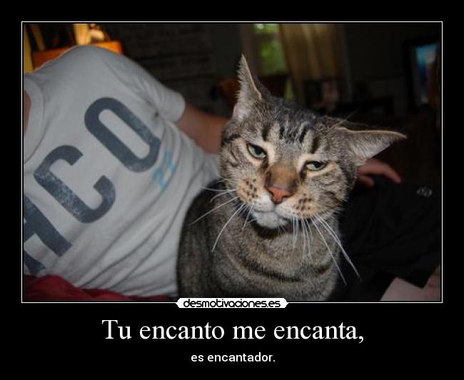 Tu encanto me encanta, -