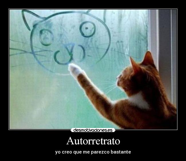 carteles gatos asesinos que planean dominar mundo megaglt desmotivaciones