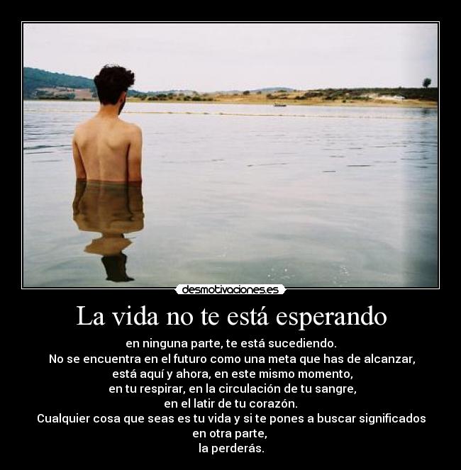 La vida no te está esperando - en ninguna parte, te está sucediendo.
 No se encuentra en el futuro como una meta que has de alcanzar,
 está aquí y ahora, en este mismo momento,
 en tu respirar, en la circulación de tu sangre,
 en el latir de tu corazón. 
Cualquier cosa que seas es tu vida y si te pones a buscar significados en otra parte, 
la perderás.