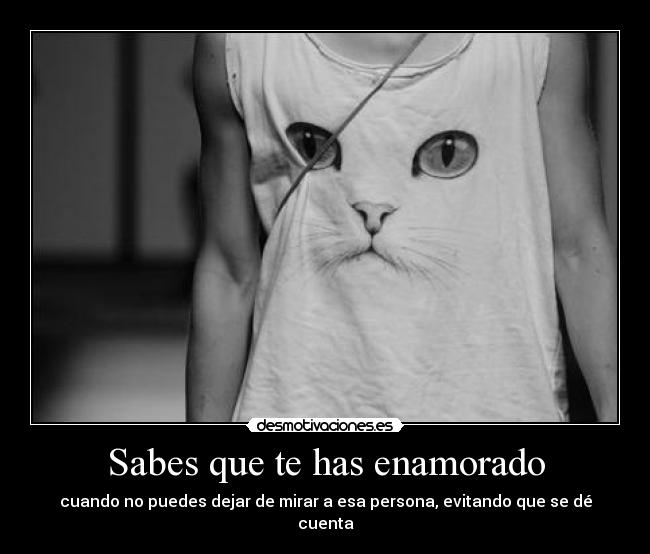 Sabes que te has enamorado - cuando no puedes dejar de mirar a esa persona, evitando que se dé cuenta